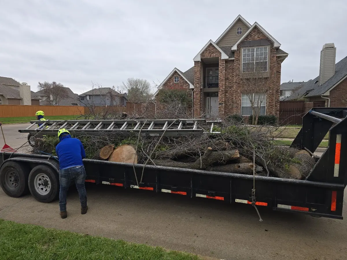 Expert Tree Fertilization with proper safety equipment in Howell